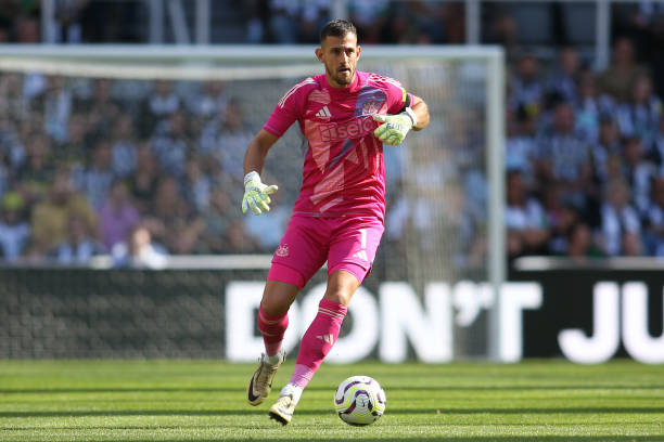 这也是灰熊 这也是灰熊