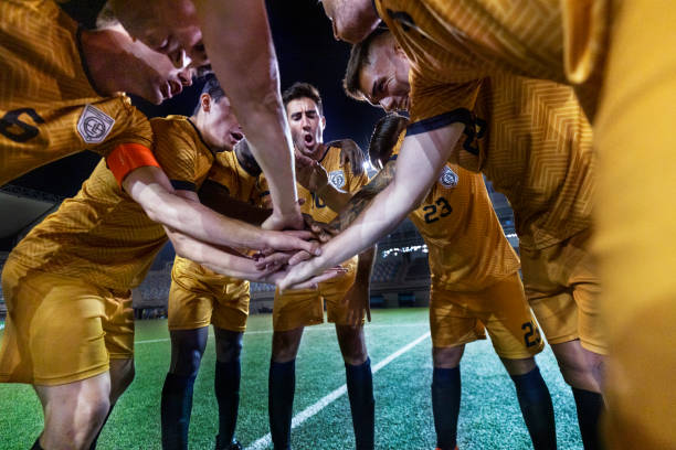 节庆祝活动 节庆祝活动